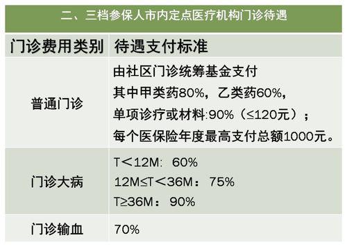 怎么看麻料年龄多大了,揭秘其真实年龄之谜