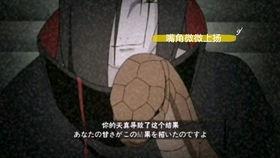 火影蛇叔忍者爆料视频,蛇叔忍者爆料视频深度解析