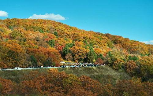 伊春网红公路打卡图片,打卡美景，探寻东北秘境