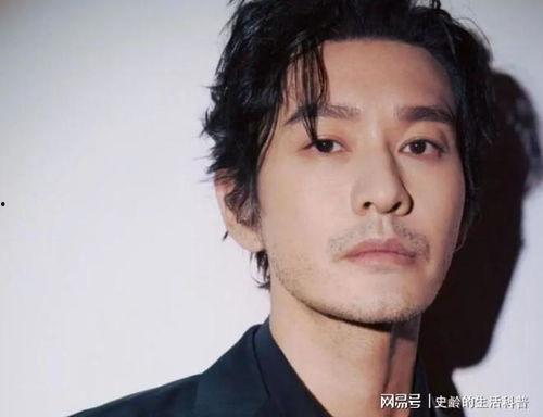 尔的明星,尔的明星风采全解析