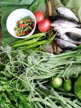 吉林头条蔬菜价,蔬菜价格动态盘点，市场行情一览无余