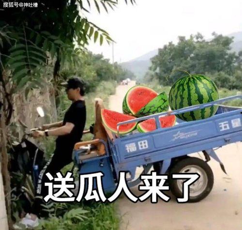 吃瓜文案君,吃瓜文案君带你领略明星幕后故事