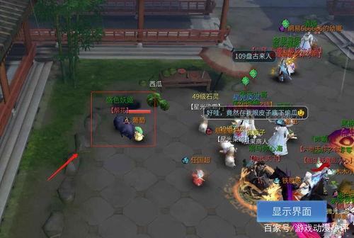 倩女幽魂游戏吃瓜,吃瓜群众揭秘神秘江湖风云录